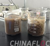 High Quality Water Treatment Chemicals Cationic Flocculant